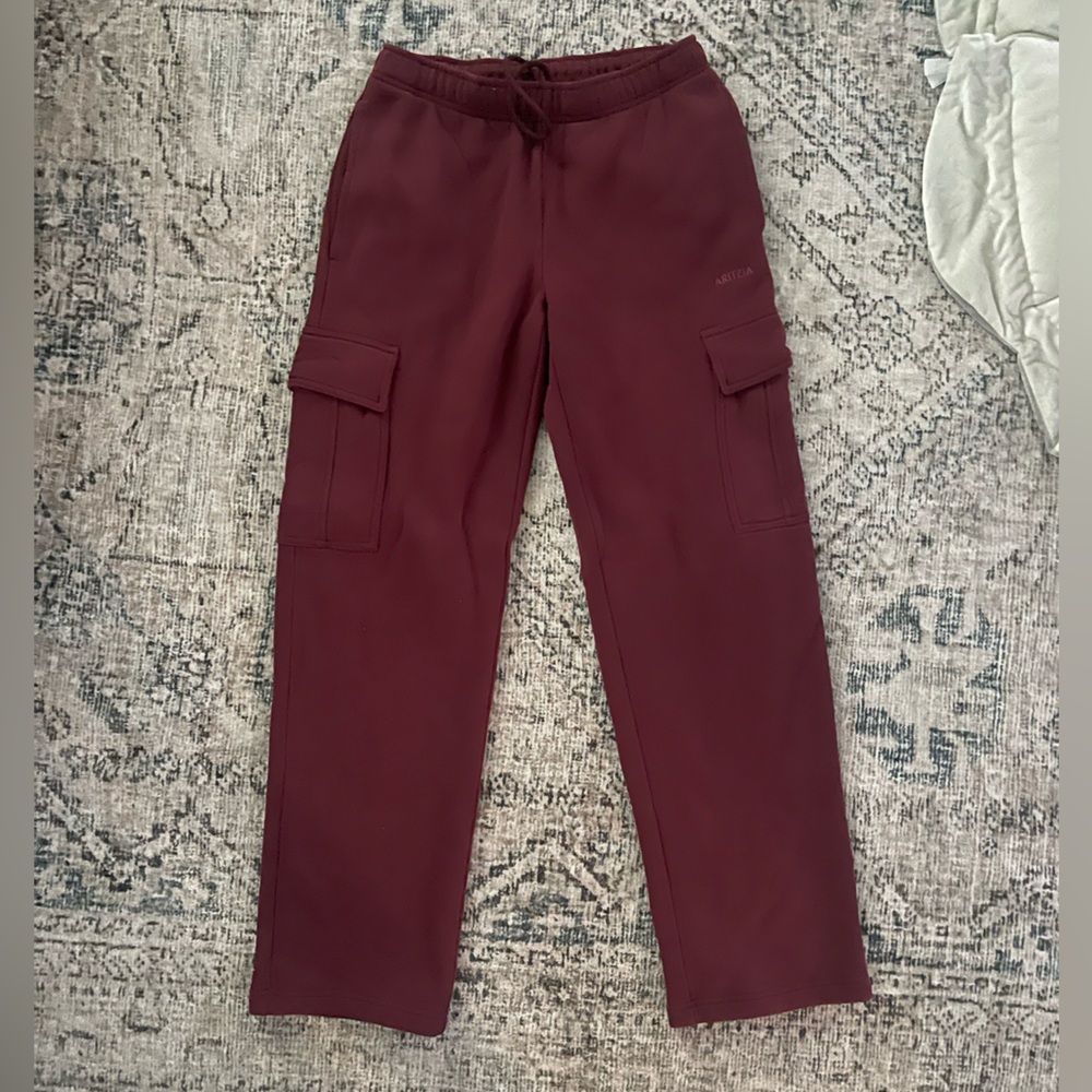 Aritzia Mega Cargo Sweatpants